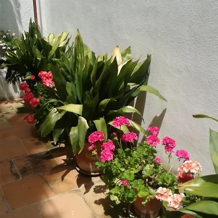 Guest house La Casita Del Corralon